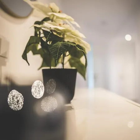 Designer In Sinsheim Summer Sale *