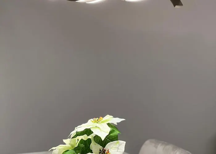 Designer In Sinsheim Summer Sale *