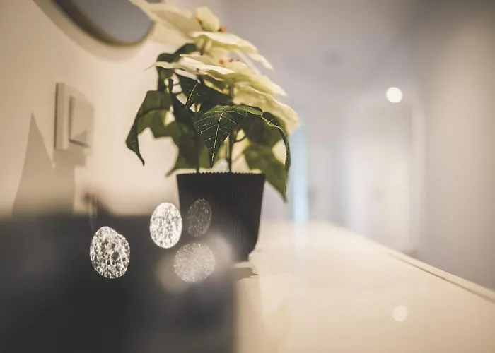 Designer In Sinsheim Summer Sale *